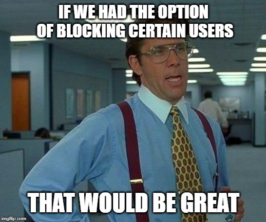 That Would Be Great | IF WE HAD THE OPTION OF BLOCKING CERTAIN USERS; THAT WOULD BE GREAT | image tagged in memes,that would be great | made w/ Imgflip meme maker