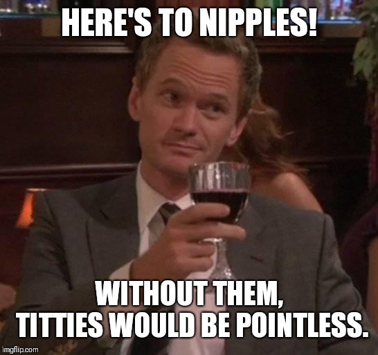 true story | HERE'S TO NIPPLES! WITHOUT THEM, TITTIES WOULD BE POINTLESS. | image tagged in true story | made w/ Imgflip meme maker