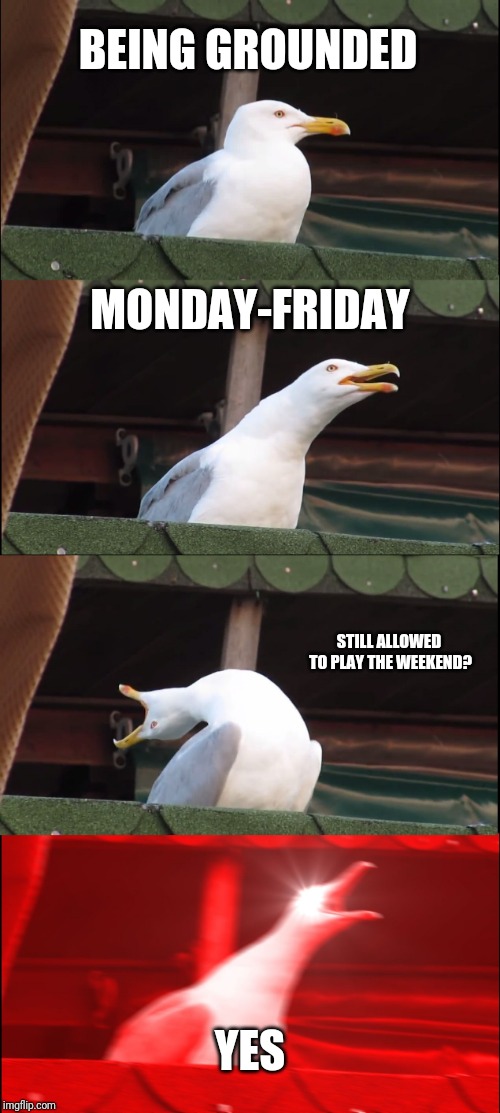 Inhaling Seagull Meme | BEING GROUNDED; MONDAY-FRIDAY; STILL ALLOWED TO PLAY THE WEEKEND? YES | image tagged in memes,inhaling seagull | made w/ Imgflip meme maker