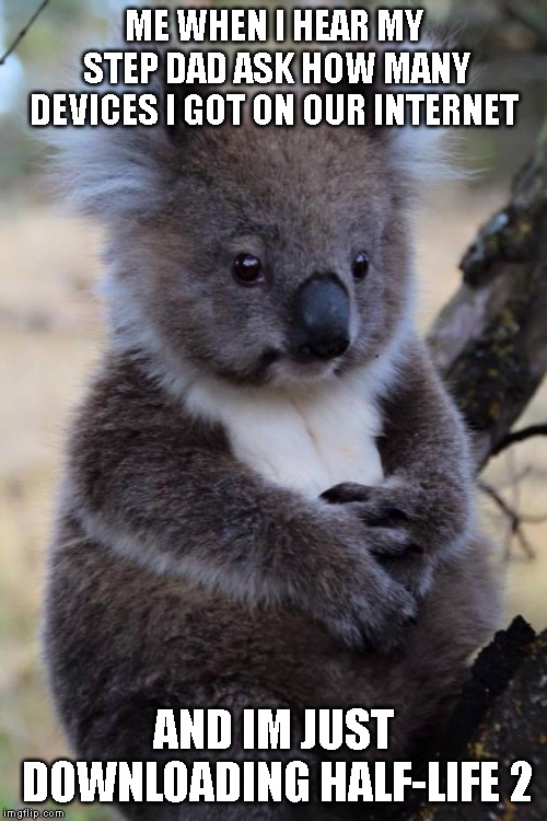 Innocent Koala | ME WHEN I HEAR MY STEP DAD ASK HOW MANY DEVICES I GOT ON OUR INTERNET; AND IM JUST DOWNLOADING HALF-LIFE 2 | image tagged in innocent koala,half life,step dad | made w/ Imgflip meme maker