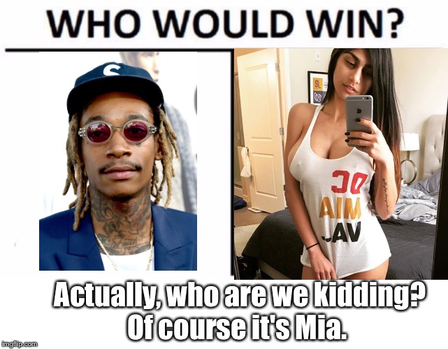 Who Would Win? Meme | Actually, who are we kidding?       Of course it's Mia. | image tagged in memes,who would win | made w/ Imgflip meme maker