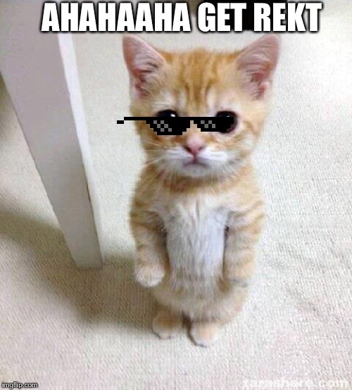 Cute Cat Meme | AHAHAAHA GET REKT | image tagged in memes,cute cat | made w/ Imgflip meme maker