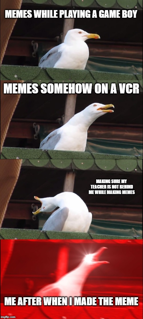 Inhaling Seagull Meme | MEMES WHILE PLAYING A GAME BOY; MEMES SOMEHOW ON A VCR; MAKING SURE MY TEACHER IS NOT BEHIND ME WHILE MAKING MEMES; ME AFTER WHEN I MADE THE MEME | image tagged in memes,inhaling seagull | made w/ Imgflip meme maker