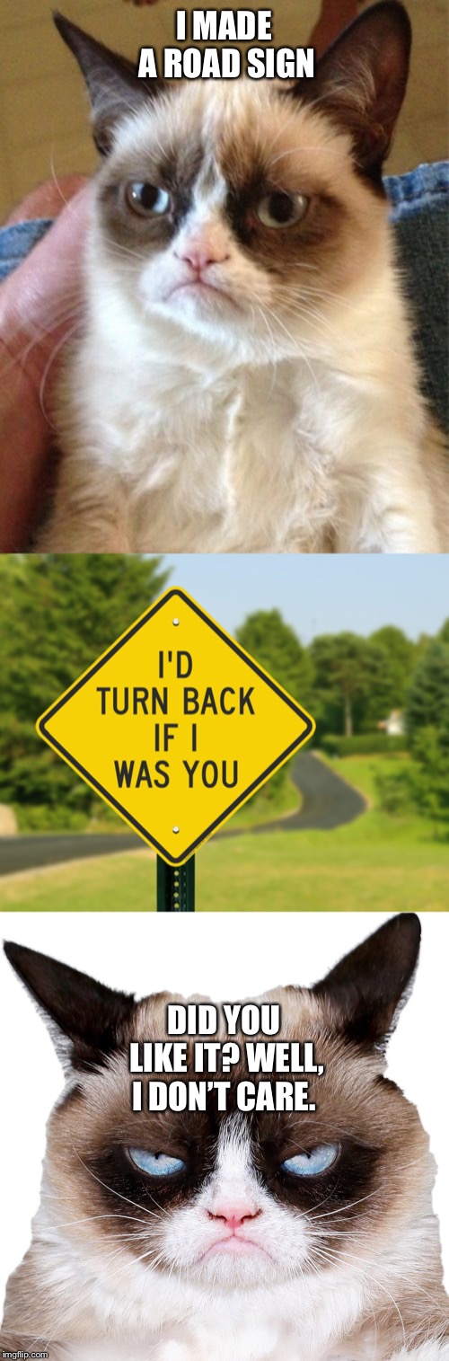 Grumpy cat made a road sign! | I MADE A ROAD SIGN; DID YOU LIKE IT? WELL, I DON’T CARE. | image tagged in memes,grumpy cat,road signs | made w/ Imgflip meme maker