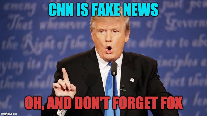 Donald Trump Wrong | CNN IS FAKE NEWS; OH, AND DON'T FORGET FOX | image tagged in donald trump wrong | made w/ Imgflip meme maker