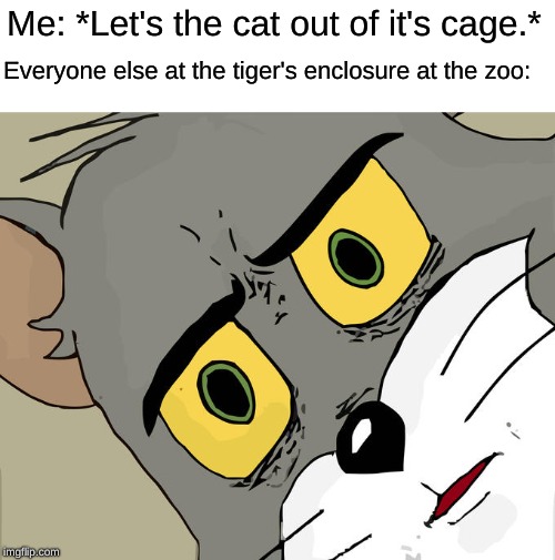 Oh...crap... | Me: *Let's the cat out of it's cage.*; Everyone else at the tiger's enclosure at the zoo: | image tagged in memes,unsettled tom,zoo,tiger | made w/ Imgflip meme maker
