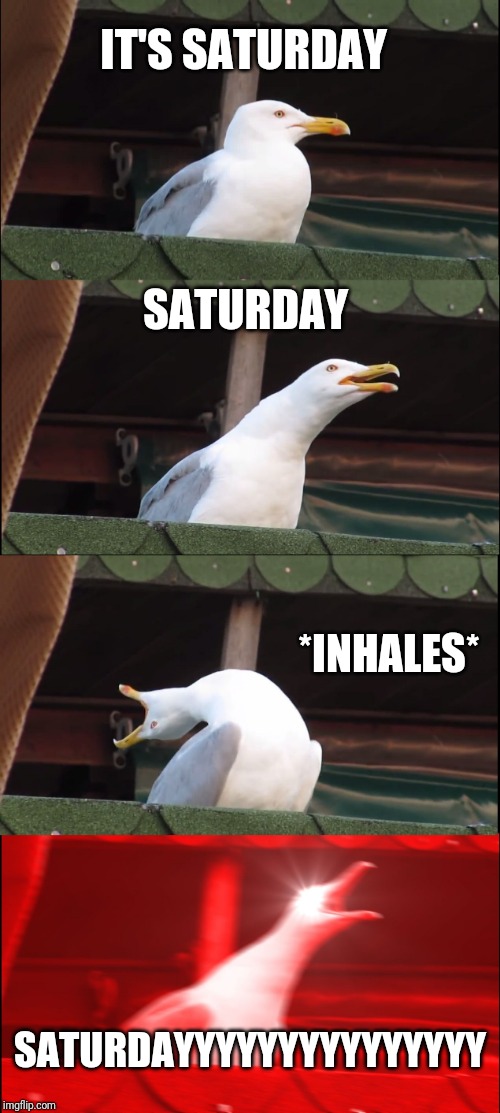Inhaling Seagull | IT'S SATURDAY; SATURDAY; *INHALES*; SATURDAYYYYYYYYYYYYYYY | image tagged in memes,inhaling seagull | made w/ Imgflip meme maker