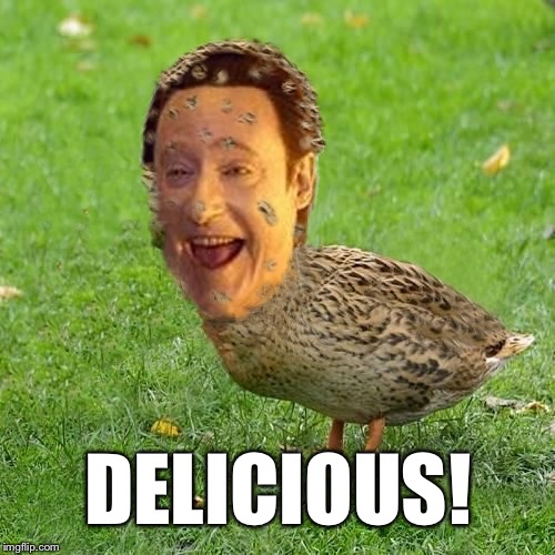 The Data Ducky | DELICIOUS! | image tagged in the data ducky | made w/ Imgflip meme maker
