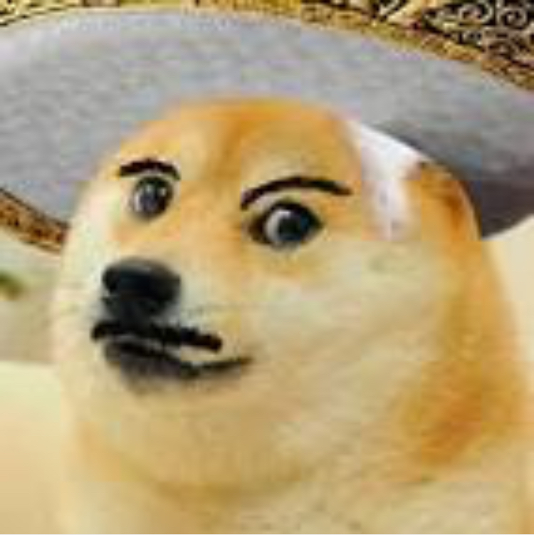 beaner doge Blank Meme Template