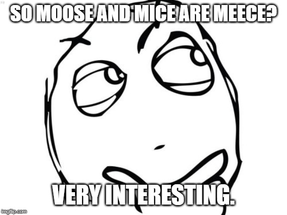 Question Rage Face Meme | SO MOOSE AND MICE ARE MEECE? VERY INTERESTING. | image tagged in memes,question rage face | made w/ Imgflip meme maker