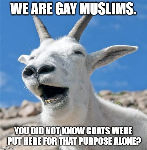 Laughing Goat Meme | WE ARE GAY MUSLIMS. YOU DID NOT KNOW GOATS WERE PUT HERE FOR THAT PURPOSE ALONE? | image tagged in memes,laughing goat | made w/ Imgflip meme maker