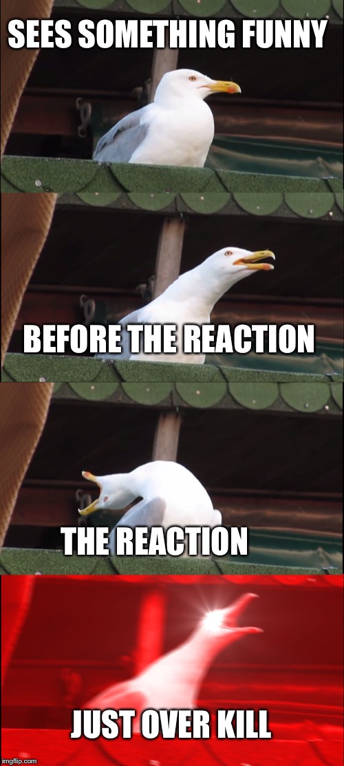 Inhaling Seagull | SEES SOMETHING FUNNY; BEFORE THE REACTION; THE REACTION; JUST OVER KILL | image tagged in memes,inhaling seagull | made w/ Imgflip meme maker