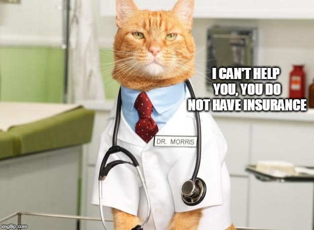 Cat Doctor | I CAN'T HELP YOU, YOU DO NOT HAVE INSURANCE | image tagged in cat doctor | made w/ Imgflip meme maker