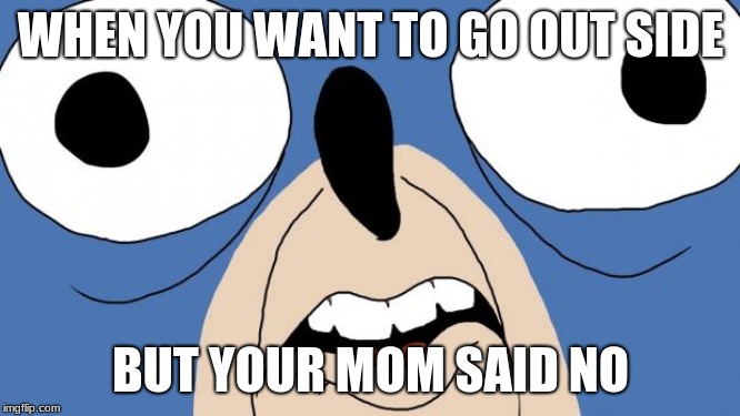 Sanic uprising | WHEN YOU WANT TO GO OUT SIDE; BUT YOUR MOM SAID NO | image tagged in sanic,nooooooooo | made w/ Imgflip meme maker