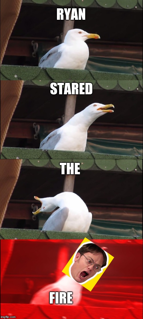 Inhaling Seagull Meme | RYAN; STARED; THE; FIRE | image tagged in memes,inhaling seagull | made w/ Imgflip meme maker