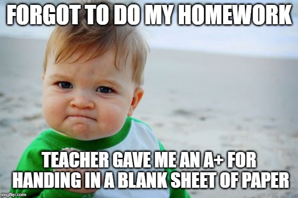 Lazy Teachers | FORGOT TO DO MY HOMEWORK; TEACHER GAVE ME AN A+ FOR HANDING IN A BLANK SHEET OF PAPER | image tagged in memes,success kid original,success,best | made w/ Imgflip meme maker