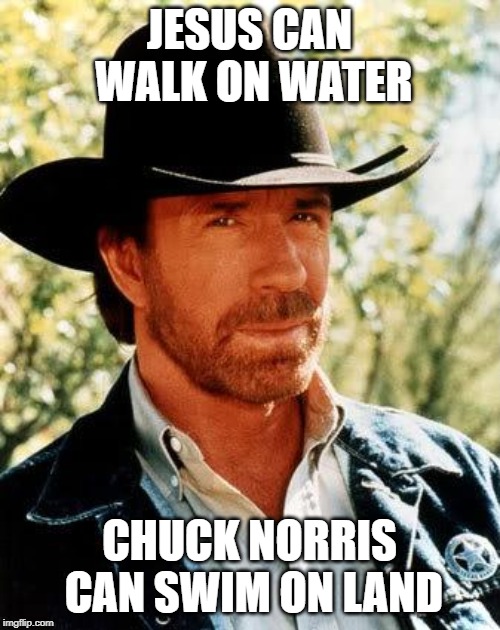 Chuck Norris Meme | JESUS CAN WALK ON WATER CHUCK NORRIS CAN SWIM ON LAND | image tagged in memes,chuck norris | made w/ Imgflip meme maker