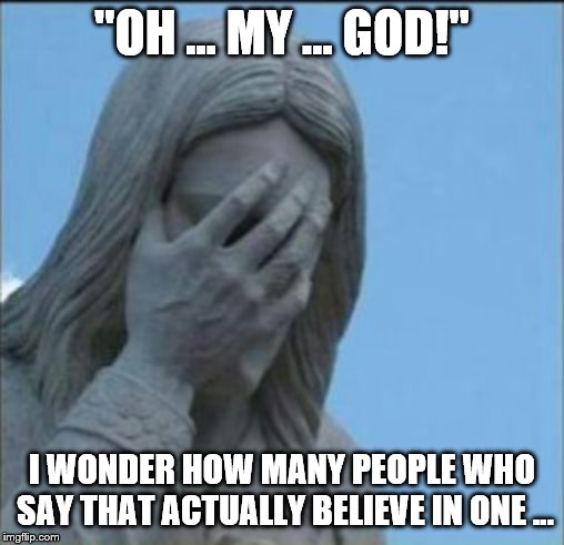 OMG | "OH … MY … GOD!"; I WONDER HOW MANY PEOPLE WHO SAY THAT ACTUALLY BELIEVE IN ONE ... | image tagged in omg | made w/ Imgflip meme maker