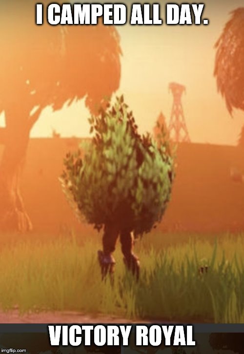 Fortnite bush | I CAMPED ALL DAY. VICTORY ROYAL | image tagged in fortnite bush | made w/ Imgflip meme maker