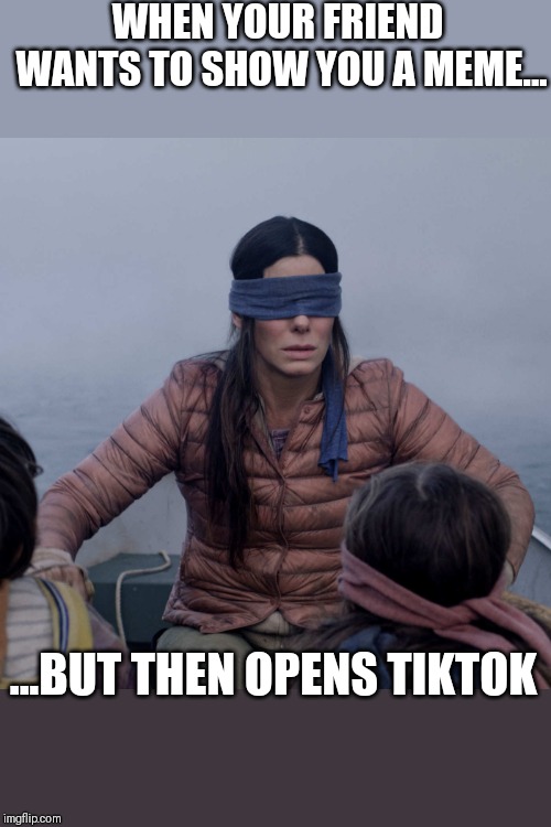 Bird Box Meme | WHEN YOUR FRIEND WANTS TO SHOW YOU A MEME... ...BUT THEN OPENS TIKTOK | image tagged in memes,bird box | made w/ Imgflip meme maker