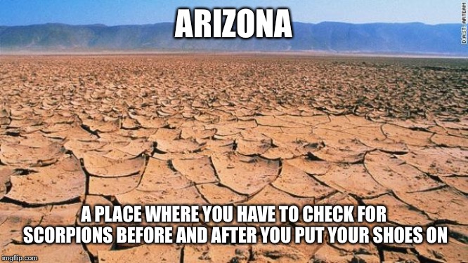 #desert | ARIZONA; A PLACE WHERE YOU HAVE TO CHECK FOR SCORPIONS BEFORE AND AFTER YOU PUT YOUR SHOES ON | image tagged in desert | made w/ Imgflip meme maker