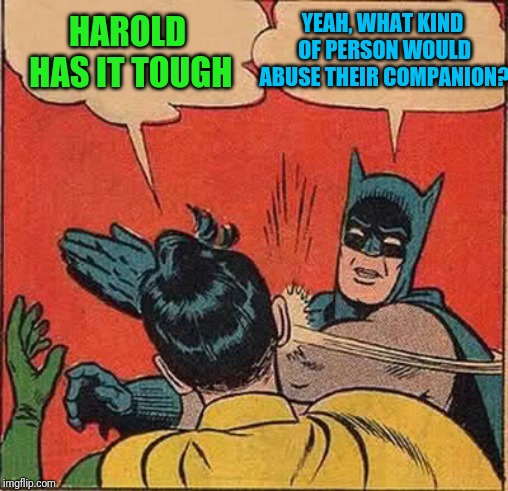 Batman Slapping Robin Meme | HAROLD HAS IT TOUGH YEAH, WHAT KIND OF PERSON WOULD ABUSE THEIR COMPANION? | image tagged in memes,batman slapping robin | made w/ Imgflip meme maker