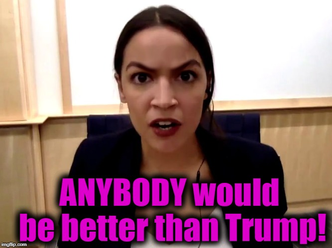 ANYBODY would be better than Trump! | made w/ Imgflip meme maker