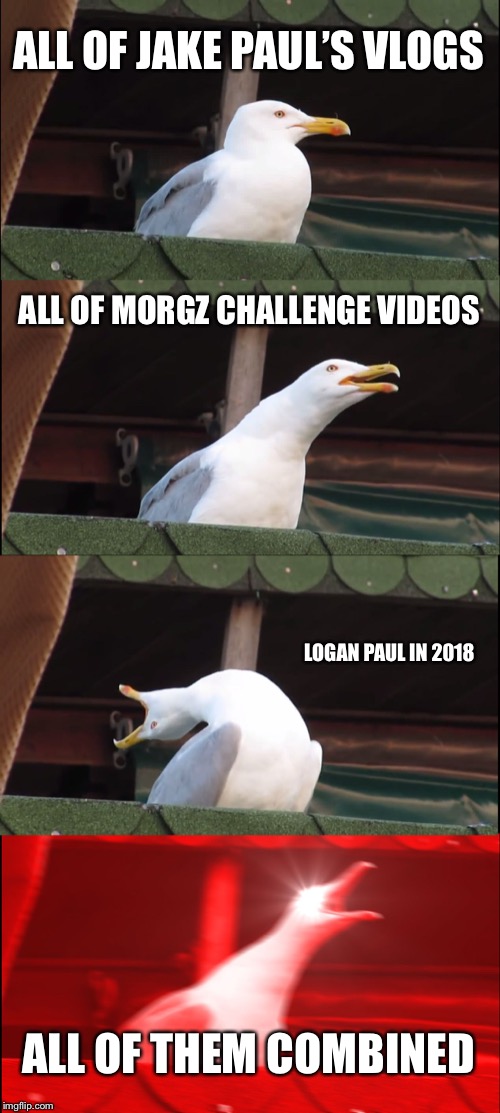 Youtubers these days | ALL OF JAKE PAUL’S VLOGS; ALL OF MORGZ CHALLENGE VIDEOS; LOGAN PAUL IN 2018; ALL OF THEM COMBINED | image tagged in memes,inhaling seagull | made w/ Imgflip meme maker