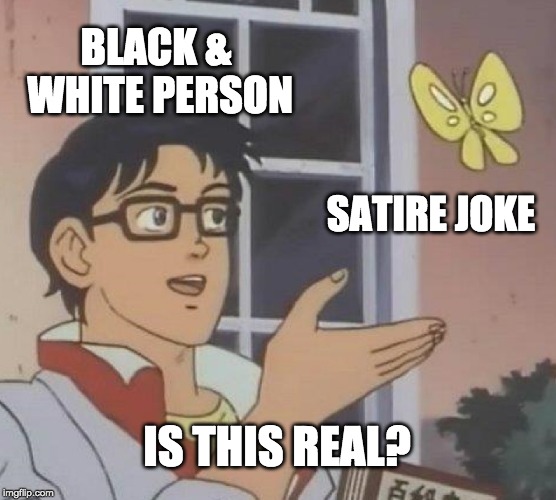 r/woooosh in a nutshell | BLACK & WHITE PERSON; SATIRE JOKE; IS THIS REAL? | image tagged in memes,is this a pigeon | made w/ Imgflip meme maker