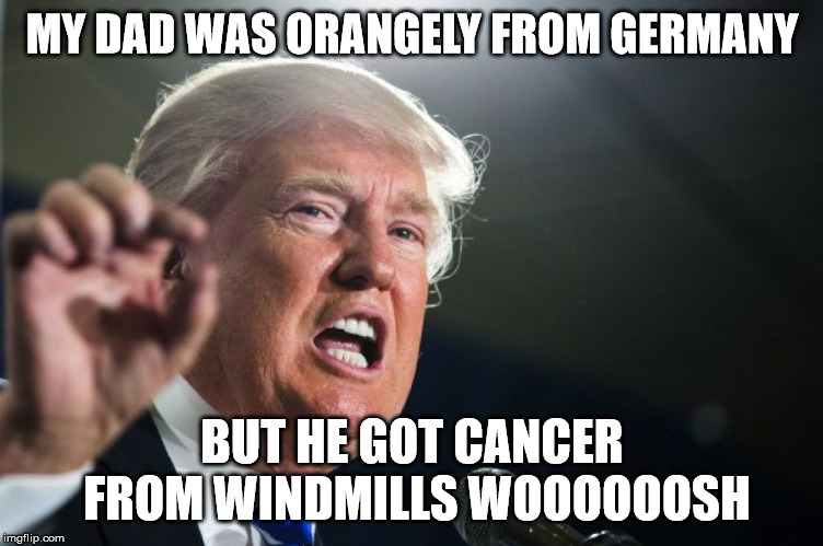 donald trump | MY DAD WAS ORANGELY FROM GERMANY; BUT HE GOT CANCER FROM WINDMILLS WOOOOOOSH | image tagged in donald trump | made w/ Imgflip meme maker