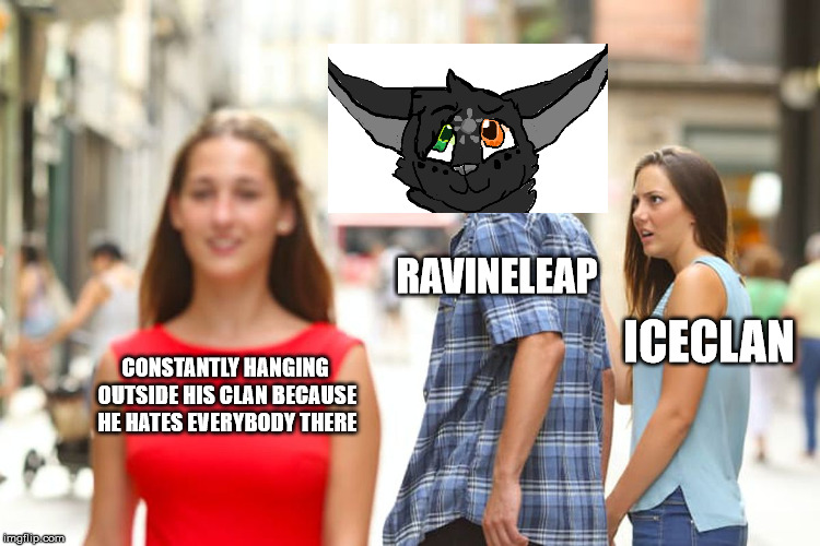 A joke you guys won't get | RAVINELEAP; ICECLAN; CONSTANTLY HANGING OUTSIDE HIS CLAN BECAUSE HE HATES EVERYBODY THERE | image tagged in memes,distracted boyfriend,hidden secrets | made w/ Imgflip meme maker