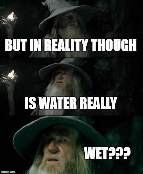 Confused Gandalf Meme | BUT IN REALITY THOUGH IS WATER REALLY WET??? | image tagged in memes,confused gandalf | made w/ Imgflip meme maker