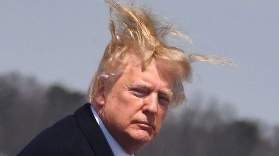 Trump hair Blank Meme Template