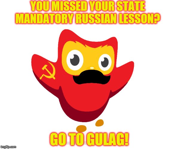 You don't upvote this post? Go to gulag! |  YOU MISSED YOUR STATE MANDATORY RUSSIAN LESSON? GO TO GULAG! | image tagged in memes,go to gulag,stalin,soviet union | made w/ Imgflip meme maker