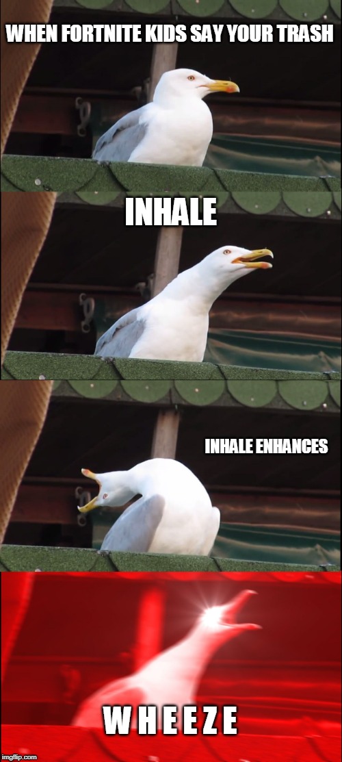 Me (no need for any other words) | WHEN FORTNITE KIDS SAY YOUR TRASH; INHALE; INHALE ENHANCES; W H E E Z E | image tagged in memes,inhaling seagull | made w/ Imgflip meme maker
