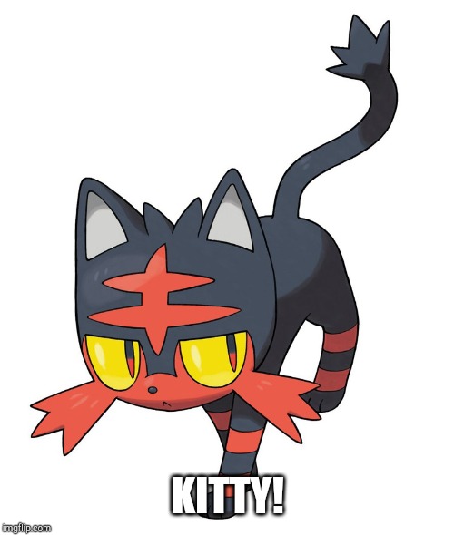 Litten! | KITTY! | image tagged in litten | made w/ Imgflip meme maker