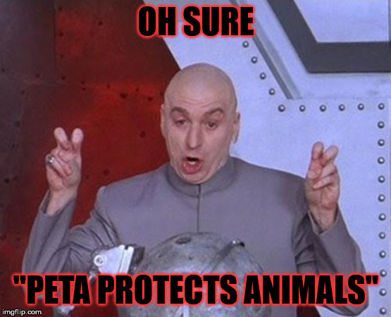 Peta sux | OH SURE; "PETA PROTECTS ANIMALS" | image tagged in memes,dr evil laser,peta | made w/ Imgflip meme maker