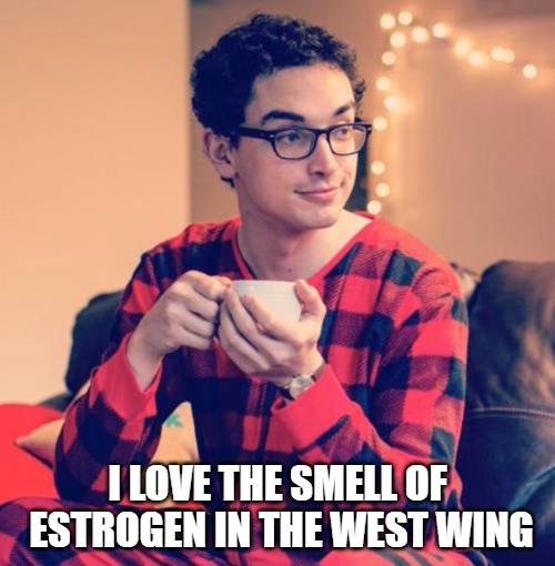 Pajama Boy | I LOVE THE SMELL OF ESTROGEN IN THE WEST WING | image tagged in pajama boy | made w/ Imgflip meme maker