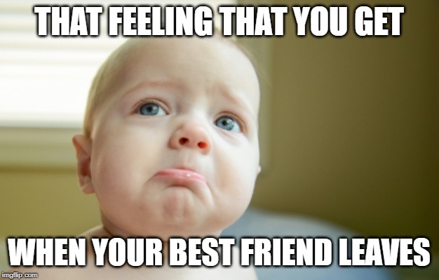 SAD FACE | THAT FEELING THAT YOU GET; WHEN YOUR BEST FRIEND LEAVES | image tagged in sad face | made w/ Imgflip meme maker