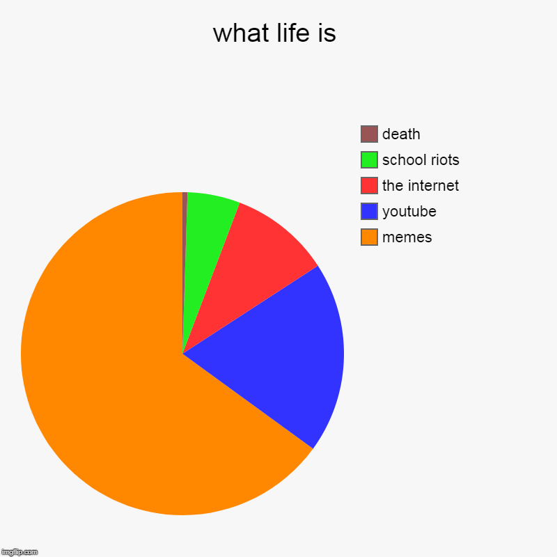 what life is | memes, youtube, the internet, school riots, death | image tagged in charts,pie charts | made w/ Imgflip chart maker