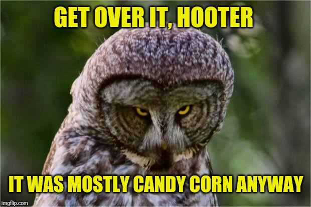 Seriously Owl | GET OVER IT, HOOTER IT WAS MOSTLY CANDY CORN ANYWAY | image tagged in seriously owl | made w/ Imgflip meme maker
