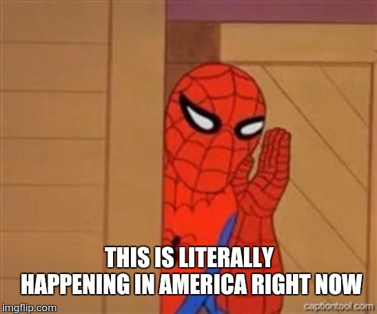 psst spiderman | THIS IS LITERALLY HAPPENING IN AMERICA RIGHT NOW | image tagged in psst spiderman | made w/ Imgflip meme maker