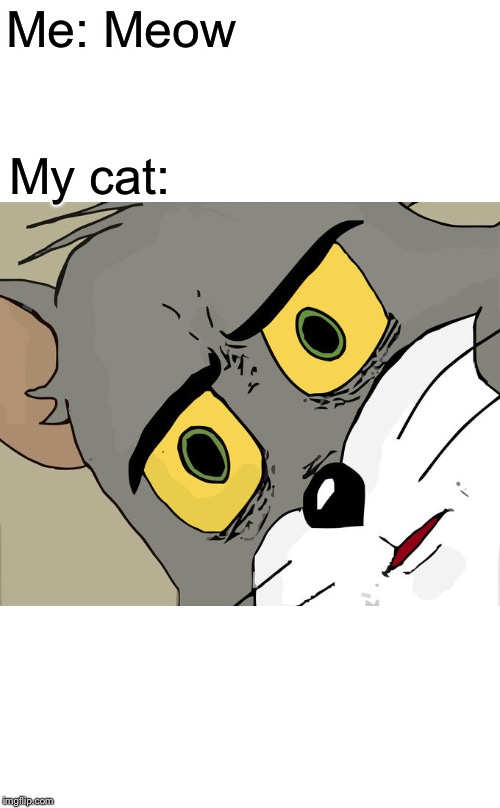 Unsettled Tom Meme | Me: Meow; My cat: | image tagged in memes,unsettled tom | made w/ Imgflip meme maker