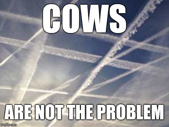 Chemtrails 234 | COWS; ARE NOT THE PROBLEM | image tagged in chemtrails 234 | made w/ Imgflip meme maker