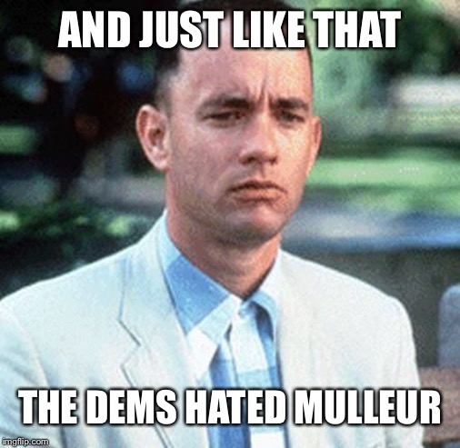 forrest gump | AND JUST LIKE THAT; THE DEMS HATED MULLEUR | image tagged in forrest gump | made w/ Imgflip meme maker
