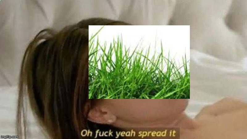 oh fuck yea spread it | image tagged in oh fuck yea spread it | made w/ Imgflip meme maker