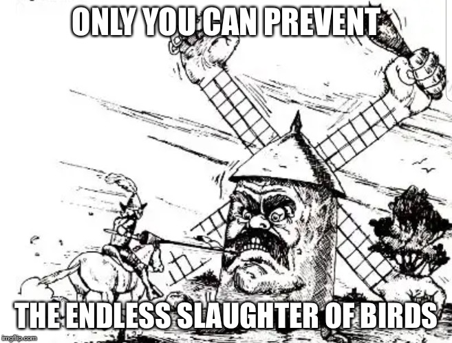 Don Quichote Windmill | ONLY YOU CAN PREVENT; THE ENDLESS SLAUGHTER OF BIRDS | image tagged in don quichote windmill | made w/ Imgflip meme maker