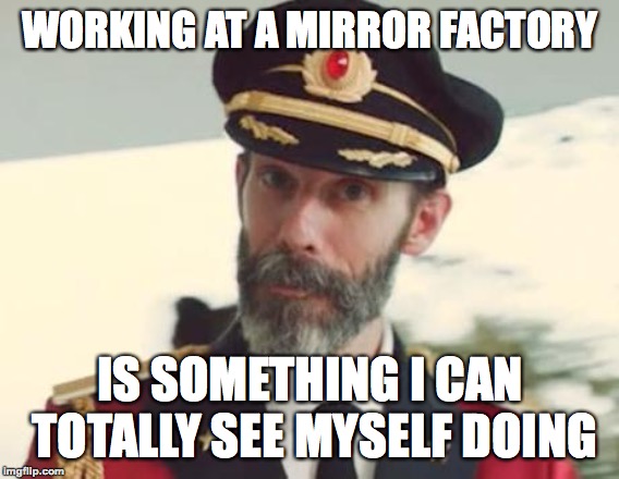 Time to reflect | WORKING AT A MIRROR FACTORY; IS SOMETHING I CAN TOTALLY SEE MYSELF DOING | image tagged in captain obvious,funny,memes,mirrors,bad puns,memelord344 | made w/ Imgflip meme maker
