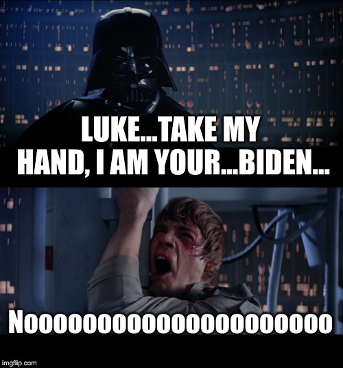 Star Wars No | LUKE...TAKE MY HAND, I AM YOUR...BIDEN... Nooooooooooooooooooooo | image tagged in memes,star wars no | made w/ Imgflip meme maker