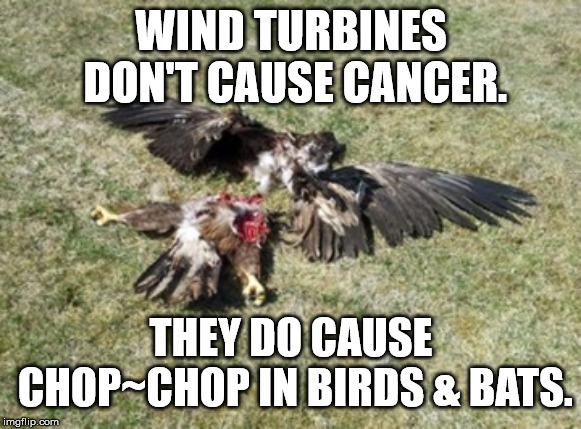 Wind turbines don't cause cancer. | WIND TURBINES DON'T CAUSE CANCER. THEY DO CAUSE CHOP~CHOP IN BIRDS & BATS. | image tagged in wind turbines,cancer,chop chop | made w/ Imgflip meme maker